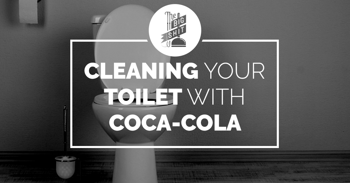 Cleaning Toilet with Soda